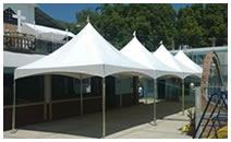 Carpa Pagoda