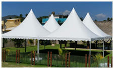 Carpas en Acapulco